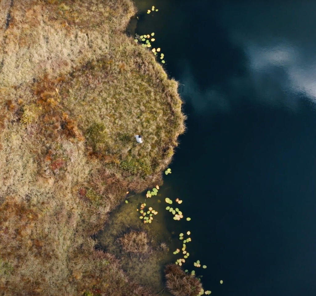 Montage de la web série Le Haut-Jura face au changement climatique pour la société Seppia