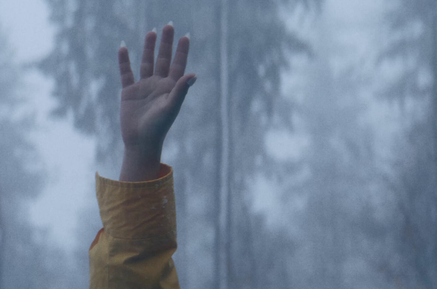 Étalonnage du court métrage le 13eme passagé d'Anthony Marzin pour le Nikon festval