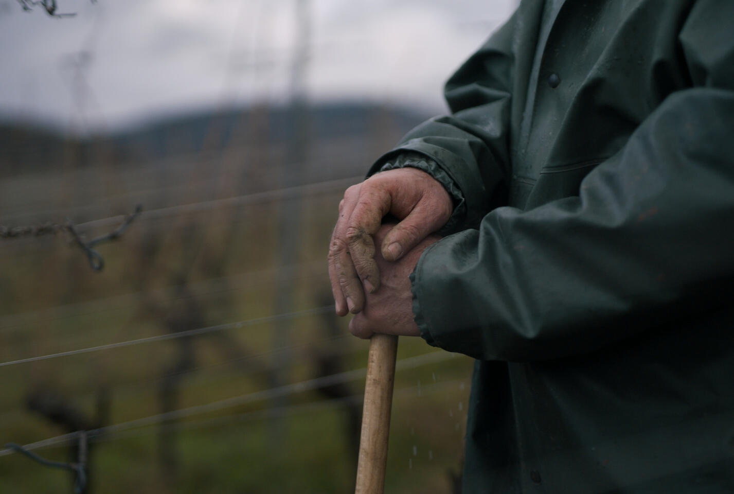 Étalonnage du film immersif pour les caves Zeisolff vin d'Alsace situé dans le Bas Rhin